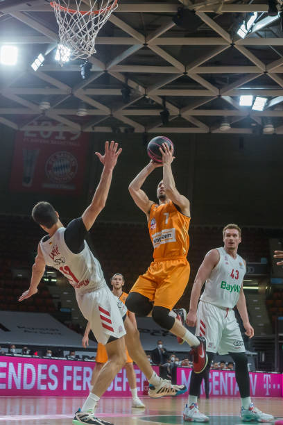 桑乔的到来 桑乔的到来